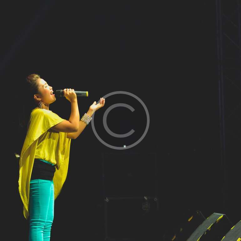 The Song that Noone Sings